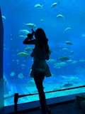 かれん