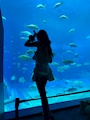 かれん