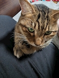西
