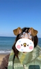 プロフィール写真3・のどか｜Girls Bar 鯉・コイ - 品川のガールズバー