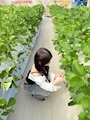 しゅう