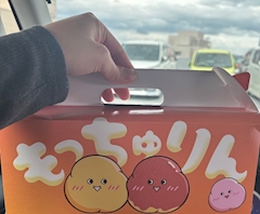 ひなた