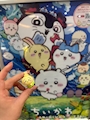 chiko