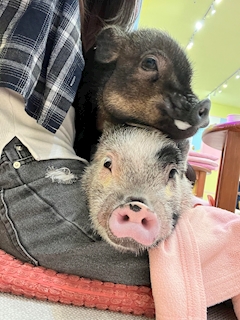 プロフィール写真8・しおん｜LiRio・リリオ - 岡崎のスナック