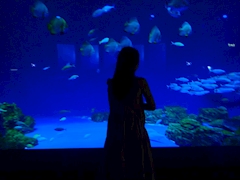 プロフィール写真1・はんな｜G Dream・ジードリーム - 京橋のキャバクラ