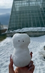 ︎ ︎ ︎ ︎ ︎ ︎ ︎ ︎ ︎ ︎