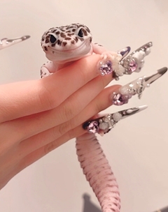 プロフィール写真7・しあ|わんだーらびりんす - 池袋東口のコンカフェ