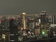 ひなた【夜】