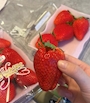 新着ブログ 巨大イチゴ過ぎる話🍓❤🎀