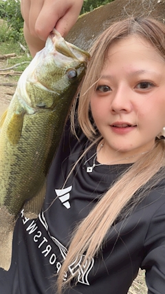 明香