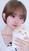 プロフィール写真1・こはく|トー横inすすきの - すすきのコンカフェ