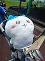 新着ブログ ⛳🌞🏌️‍♀️