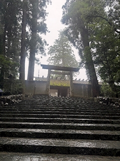 茜