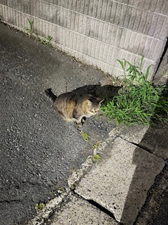 ふう探偵