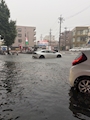 新着ブログ 大雨!