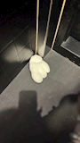 新着ブログ 千羽鶴