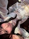 プロフィール写真2・*✮꒰ঌ L ໒꒱✮*｜TinkTink・ティンク ティンク - 秋葉原のコンカフェ