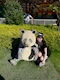 プロフィール写真3・なな【池袋 vivid cafe】|vivid cafe・ヴィヴィッドカフェ - 池袋西口のガールズバー