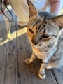 新着ブログ 😻😻😻
