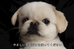 🤍かずき🤍