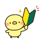 体入ちゃん