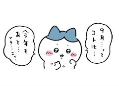 最近のお気に入り