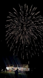 新着ブログ 🎆