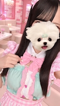 ちえり
