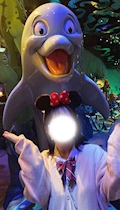 らん