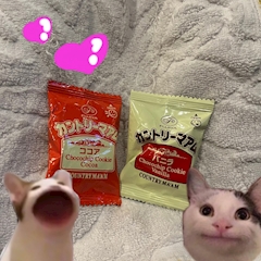 ありす「7.14」