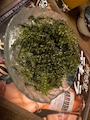 ラウンジPilina
