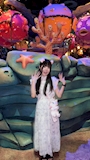 新着ブログ 9/9
