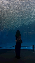 女の子の名前