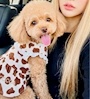 chiko