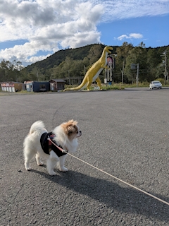 こと