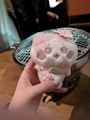 chiko