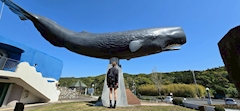 プロフィール写真9・酔鯨 由紀|鹿児島/天文館/キャバクラ/EMIRAI エミライ