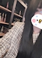 プロフィール写真1・そそ｜Bar TIMBER・ティンバー - 堺東のガールズバー