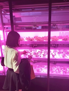 プロフィール写真2・ひなた【OLIVE新橋】｜Olive・オリーブ新橋店 - 新橋のキャバクラ