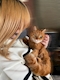 プロフィール写真5・ひすい|Selene・セレネ - 田町のガールズバー