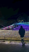 ゆま