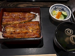 こむぎ