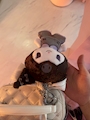 新着ブログ げーせん