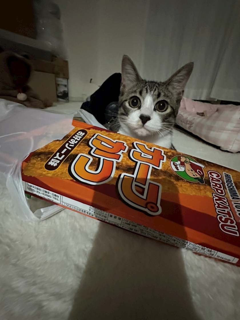 あや