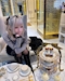 プロフィール写真8・るいるい｜Cafe＆Bar でぃあしす - 歌舞伎町のコンカフェ