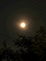 新着ブログ まんまるお月様🌕