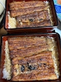 新着ブログ みんなおやすみ