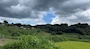 新着ブログ お盆で実家に帰省中です⛰️