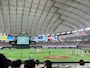 新着ブログ ソフトバンクvs西武⚾️ 昨日