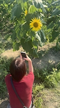 みゆ